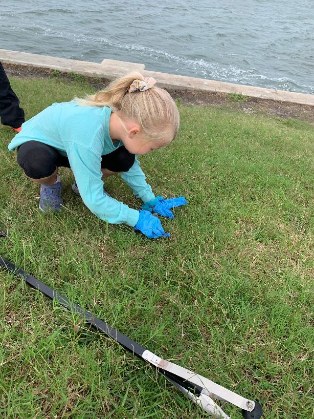 Volunteers clean up the coast during International Coastal Cleanup